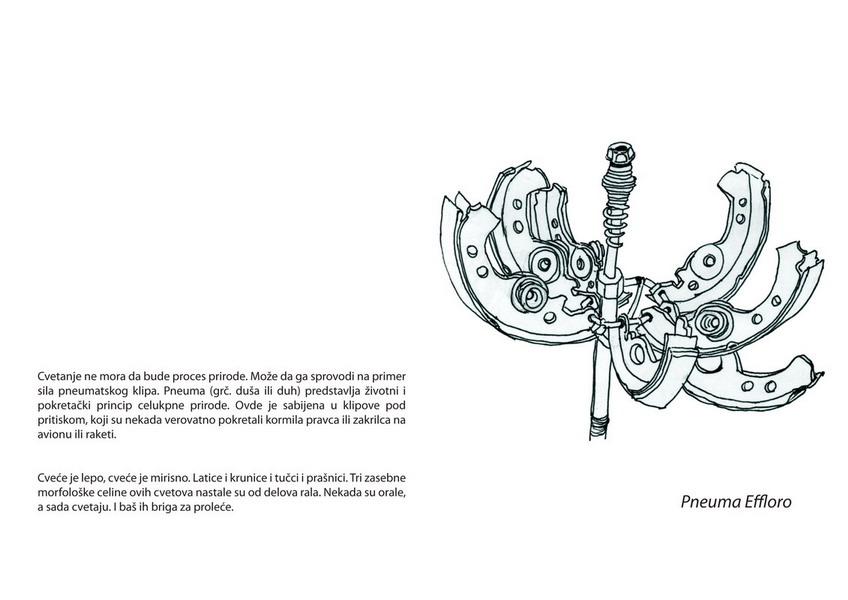 kinetic garden fanzine, part of kinetic park project by karkatag